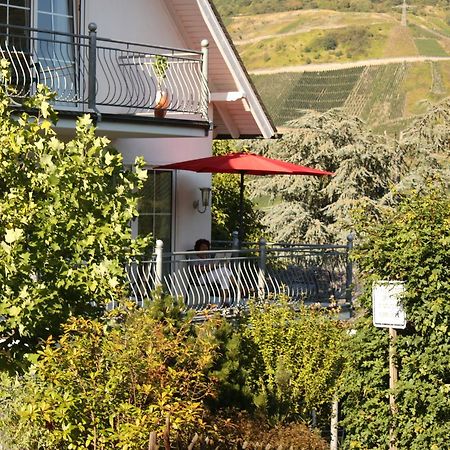 Ferienweingut Port Daire Bernkastel-Kues Dış mekan fotoğraf